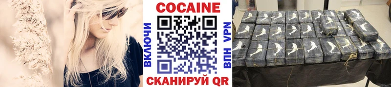 дарнет шоп  Снежногорск  COCAIN FishScale 