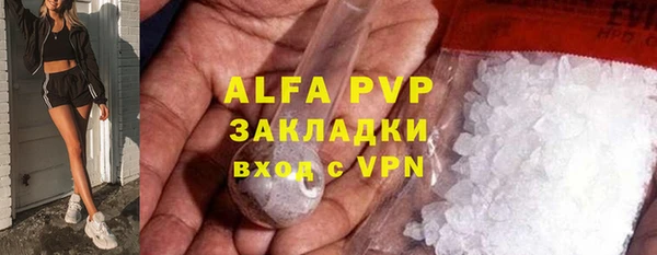 ешки Алексин